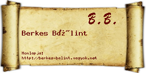 Berkes Bálint névjegykártya